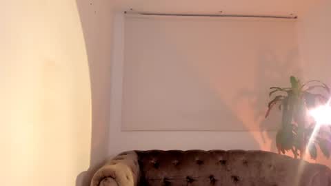 _evaa — similar cam model