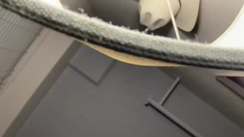 blonde_boi99 — similar cam model