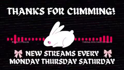 chastitykaige — similar cam model