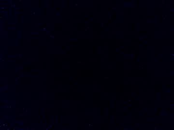 dapinkboy — similar cam model