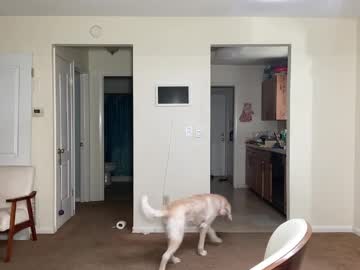 katiebabykitty live cam from Slovakia