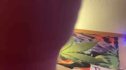 lilbunbun05 — similar cam model