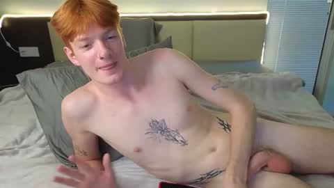 marius_vexley — similar cam model