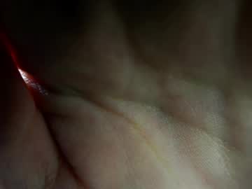 nobukohittle cam profile