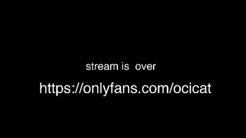 ocicat live cam
