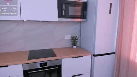 palmiratownzen live cam stream