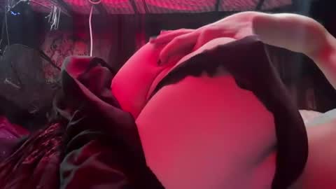 plushcatboy — similar cam model