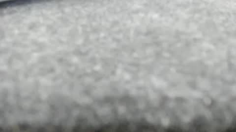 sophiaarmani — similar cam model