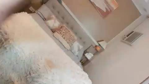 sophiaarmani live cam stream