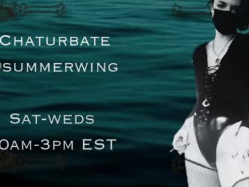 summerwing live cam from Slovakia