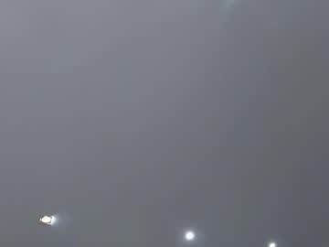 ehotlovea live cam