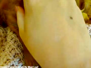 x_lily_x live cam