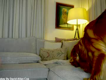 x_lily_x live cam